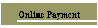 Online Payment